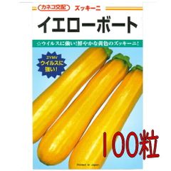 カネコ種苗　イエローボート　ズッキーニ　１００粒