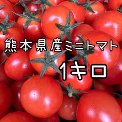 熊本県産 ミニトマト(千果) 1キロ サイズMIX