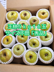 限定！自家産「王林」秀品５ｋｇサイズ不問１６玉