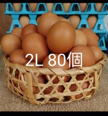 けんちゃん赤卵2Lサイズ80個　　たまご　朝採れ　玉子　青森県産