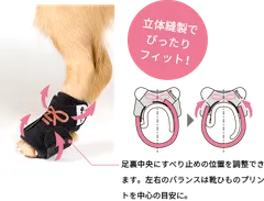 コンビ コムペット ホロノア ワンソクSサイズ　or  Mサイズペア  【ペット用　足首サポーター】