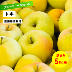フルーティーな香りと沢山の果汁 9月収穫 幻のリンゴ 「トキ5キロ箱訳あり品」長野県産 安曇野 信州産 幻