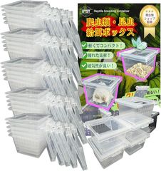 Item thumbnail for item 08e626bd-7ab2-4ce3-8a9c-31f7a84a36e9