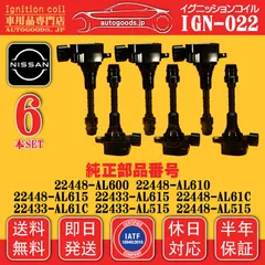 ステージア PM35 PNM35 VQ35DE スロットルスペーサー 日本製 ARJ スロットルスペーサー 日産 デイズルークス B21A (H25/6