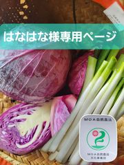 はなはな様専用ページ　野菜セット