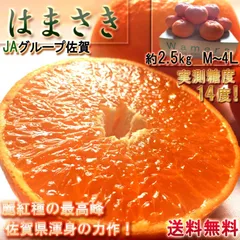 はまさき みかん 麗紅 佐賀県産 約2.5kg M～4Lサイズ 秀品 簡易包装 JAからつ 柑橘類 佐賀県渾身のタンゴール 実測糖度14度！