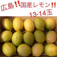 国産　広島レモン