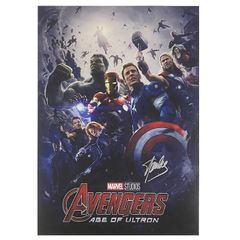 024A4 アベンジャーズ エイジオブウルトロン ポスター 映画 マーベル