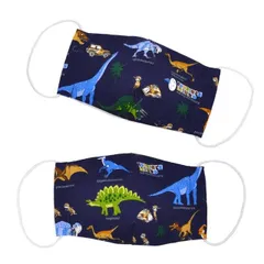 COLORFUL CANDY STYLE 新品   子ども マスク 2枚セット 銀イオン 抗菌ガーゼ 発見！探検！恐竜大陸 ネイビー 子供用 高学年 こども マスク 子ども ガーゼマスク キッズマスク 子どもマスク 子供マスク 綿 小学生 給食 セット洗える