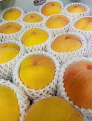 クール便発送‼️全国一理料金‼️数量限定‼️長野県産　黄金桃　桃　ゴールデンピーチ　もも　マンゴーピーチ　モモ  5kg箱満杯