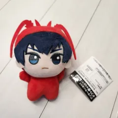 正規品　スケルトン入り　お顔厳選　着せ替えぬいぐるみ　20cm 潔世一　カイザー 正規品 スケルトン入り お顔厳選 着せ替えぬいぐるみ 20cm 潔世