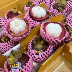 [6月3日入荷予定]　生鮮 航空便  タイ産 マンゴスチン Lサイズ24玉入り　1箱2,5kg