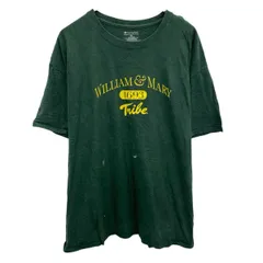 Champion プリントTシャツ XL グリーン イエロー チャンピオン プルオーバー ビッグサイズ カットソー 古着卸 アメリカ仕入 a704-5600
