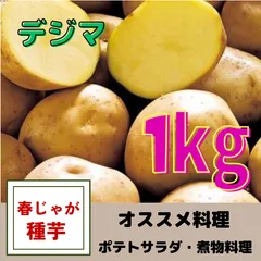 2024年最新】じゃがいも 種芋出島の人気アイテム - メルカリ