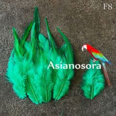 ◾️⭐︎【F8グリーン】高品質 羽根 フェザー ハンドメイド 素材 鳥 パーツ 鳥の羽根