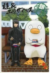 【中古】キャラカード(キャラクター) 桂＆エリザベス 「ジャンボカードダスEX 銀魂 クリアコレクションB.I.G.3」