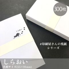 「しらおい」名刺サイズのカード 300枚入_91×55mm_Y4