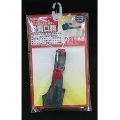 Item thumbnail for item 008cebe1-e964-48fa-b5e5-d490bd00bb82