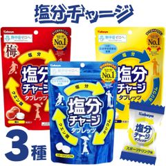 塩分チャージ タブレット 3種 各1袋セット 熱中症対策 塩分補給 食べ比べ 携帯に便利