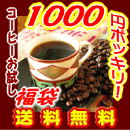 コーヒー豆 お試し 1000円ポッキリ 送料無料 ！ 感動 コーヒー お試し 福袋 ブラジル60g.清流長良川60gの計120g メール便