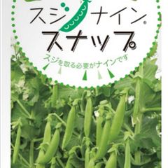 令和7年分終了です　新鮮野菜！スジナイン！収穫当日発送