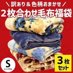 【3枚セット】訳あり★色柄品質おまかせ2枚合わせ毛布 シングル【6SA-409-15024-3】