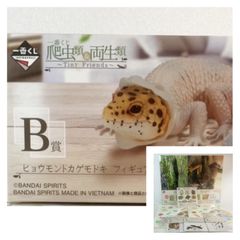 爬虫類一番くじ　Ｂ賞　ヒョウモントカゲモドキ脱皮中　E賞、F賞、G賞、H賞