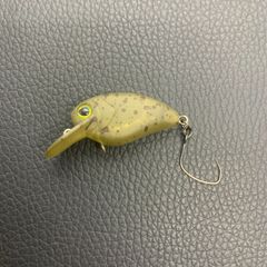 ティモン フラパ二