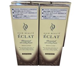 SG0001　★未使用★ ヘアボーテ エクラボタニカル エアカラーフォーム EX ダークブラウン 白髪用 5点セット