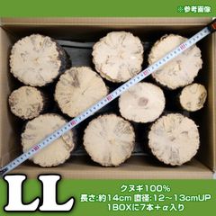 産卵木【LL】クワガタ繁殖用ホダ木 7本入＋α [SR05]