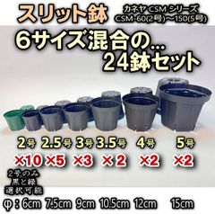 ●平日＊日中注文即日発送-スリット鉢カネヤ6サイズ-2号10鉢＋2.5号黒5鉢＋3号黒3鉢＋3.5号4号5号黒各2鉢⇒計24鉢セット(兼弥産業CSM-60/75/90/105/120/150)＊多肉塊根植物コーデックス・アガベ・アデニウム＠フラワーショップ江口