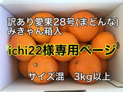 えひめ県産愛果28号(まどんな)