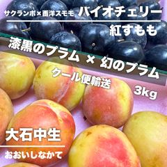 【2種クール便】山形県産 漆黒のプラム×幻のプラム 食べ比べ 3kg すもも