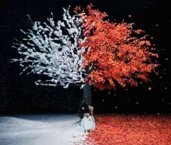 Aimer everlasting snow ポスター サイン入り 直筆サイン入り】Aimer ポスター 茜さす everlasting snow