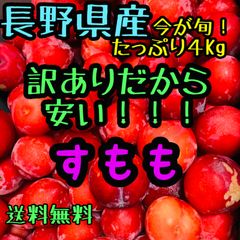 激安お得！すもも家庭用たっぷり4kg入！クール便送料無料　長野県産プラム　桃