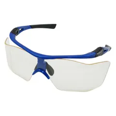 2025年最新】パノラマシールドの人気アイテム - メルカリ