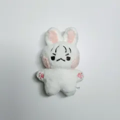 チャンソプ btob ぬいぐるみ BTOB チャンソプ ぬいぐるみ - メルカリ