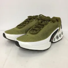 NIKE ナイキ スニーカー DV3337-300 AIR MAX DN 29cm