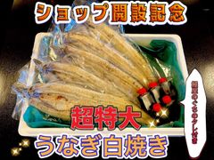 超特大サイズ！愛知県一色産の白焼き鰻