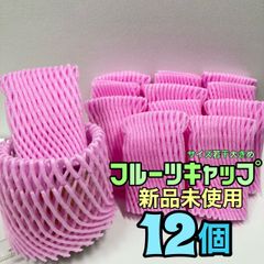 新品未使用　青果ネット　フルーツキャップ　緩衝材　保護ネット　あみあみ