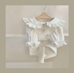 パフスリーブブラウス