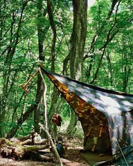 2024年最新】bushcraft spainの人気アイテム - メルカリ