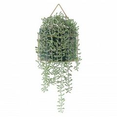 Item thumbnail for item ba7988d0-28a2-43c3-b7a2-efab138aafc4