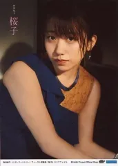 2025年最新】グラビアアイドルクリアファイルの人気アイテム