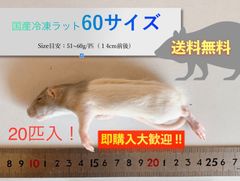 【送料無料】国産冷凍ラット60サイズ20匹入@即購入OK！北海道・沖縄の方も送料無料です！