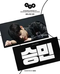 Stray Kids スキズ スンミン スローガン セット まとめ売り 11枚 Stray Kids スキズ スンミン スローガン セット まとめ売り 11枚 Stray