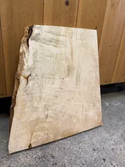 [たのメル便] 白栃　極上杢　一枚板ローテーブル　新品未使用 IMG_6083_2048x.jpg?v=1710737048