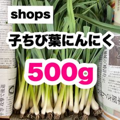 【農家直送】子ちび葉にんにく 500g 即購入OK xmT