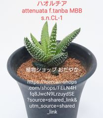 WSBwC5K7em2vewYoaSPXvN.jpg WSBwC5K7em2vewYoaSPXvN.jpg