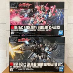 RG エヴァンゲリオン 零号機 DX陽電子砲 ＆3号機 ESVシールドセット